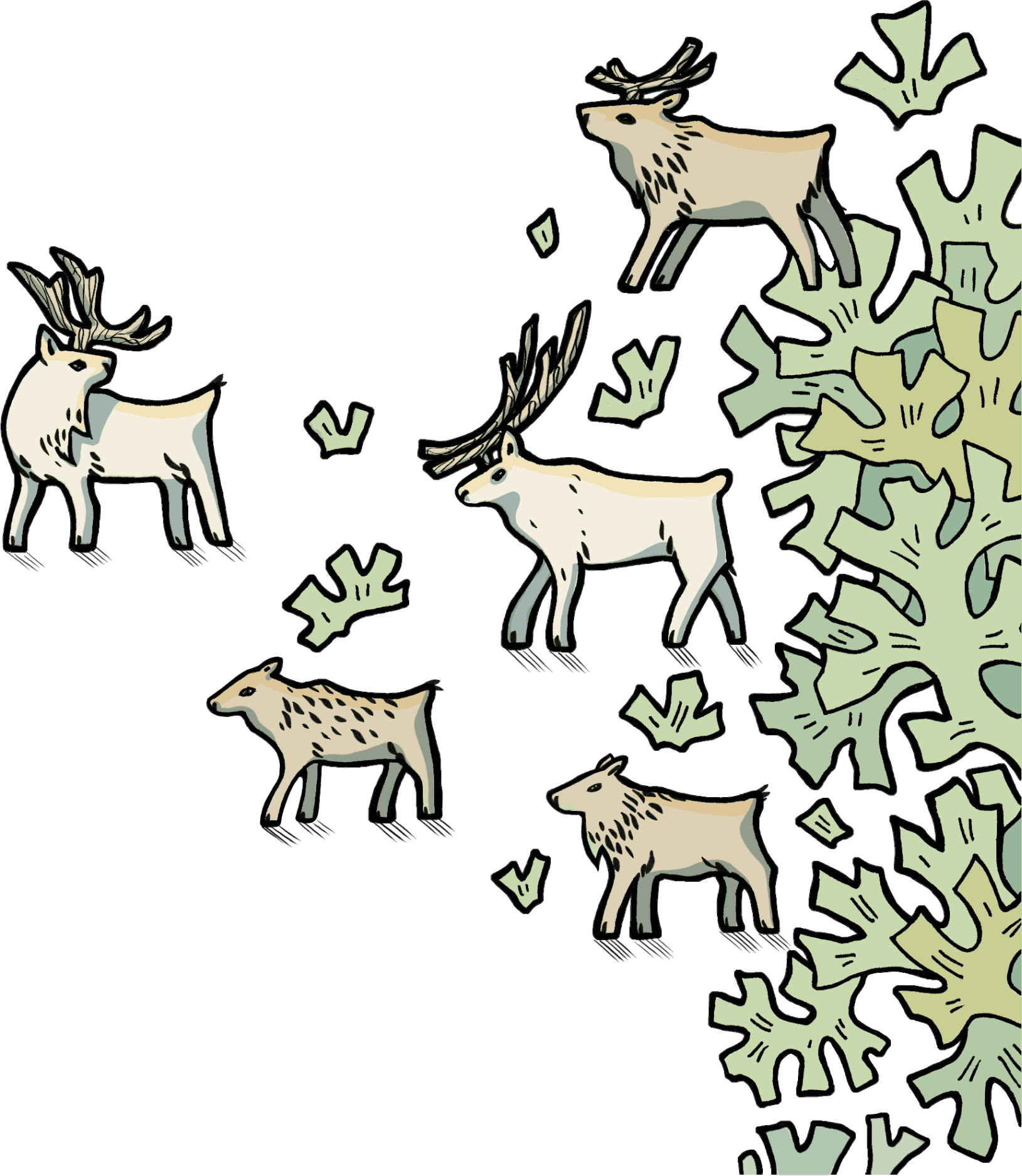 Олень северный