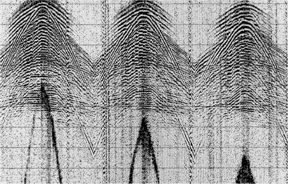 Сейсмосигналы на экране станции