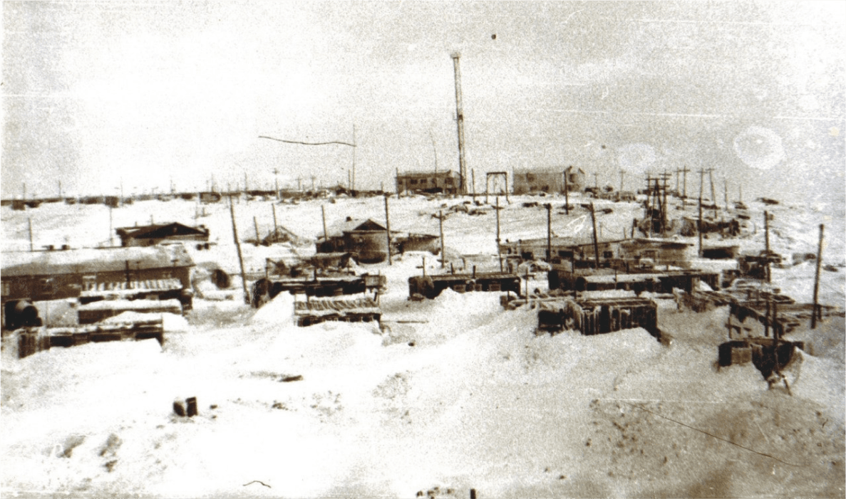 Сеяха в восьмидесятые