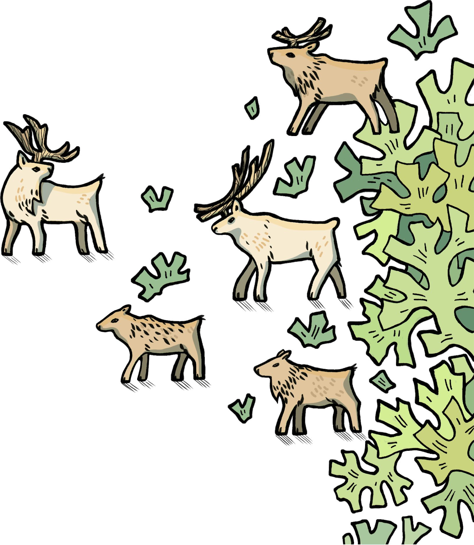 Олень северный